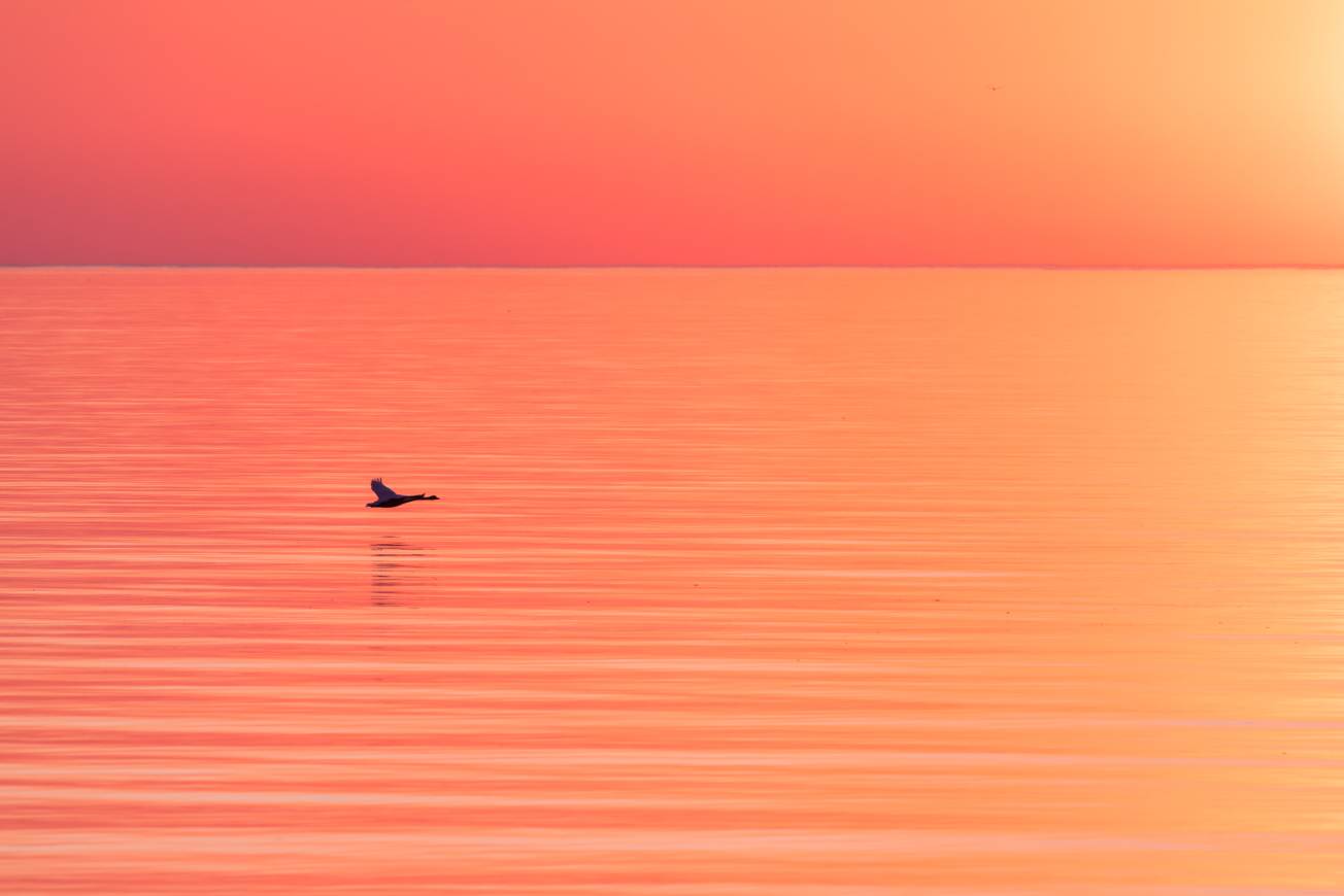 Sommarkväll i Visby