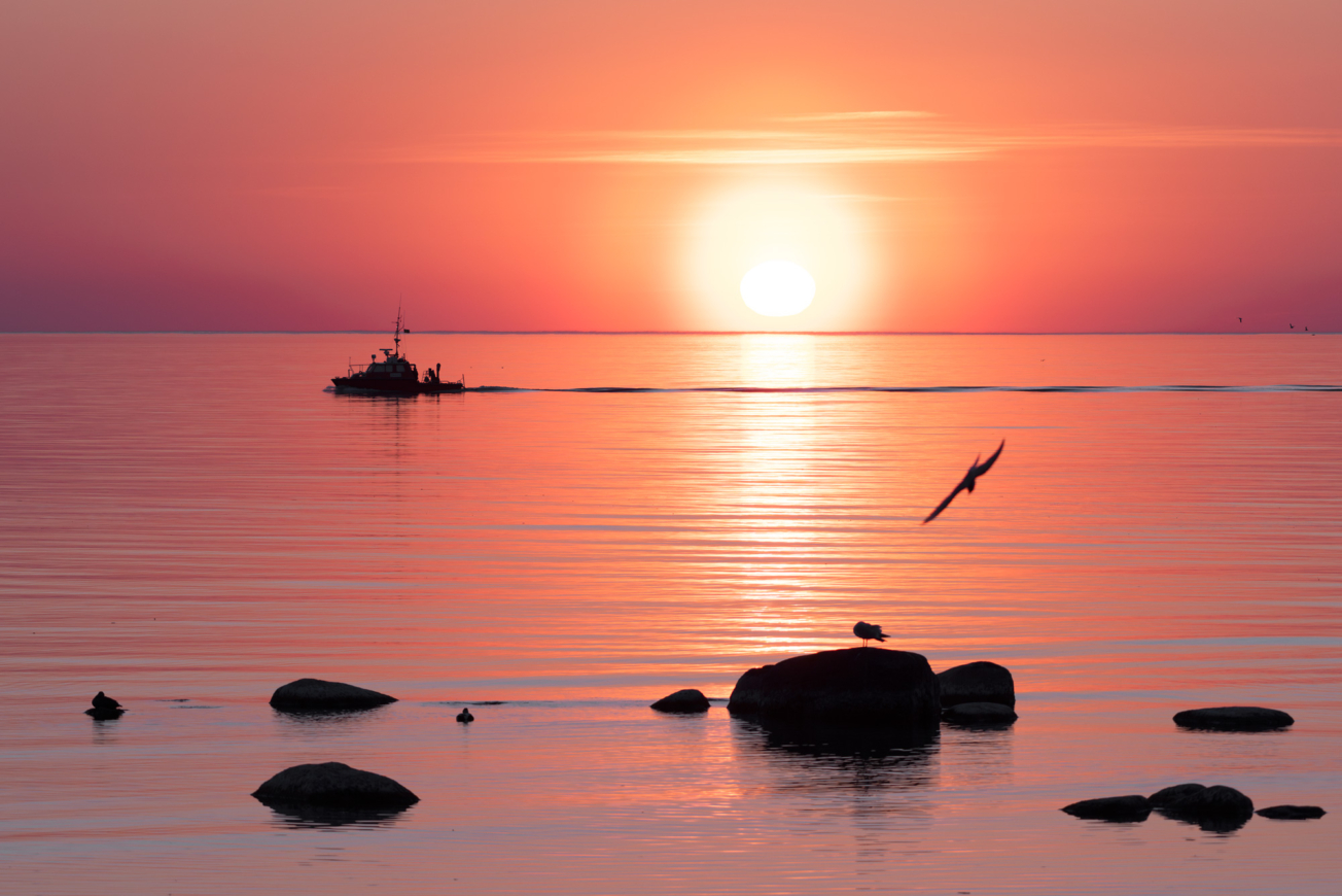 Sommarkväll i Visby